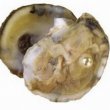 Hepar Sulphur – серная печень